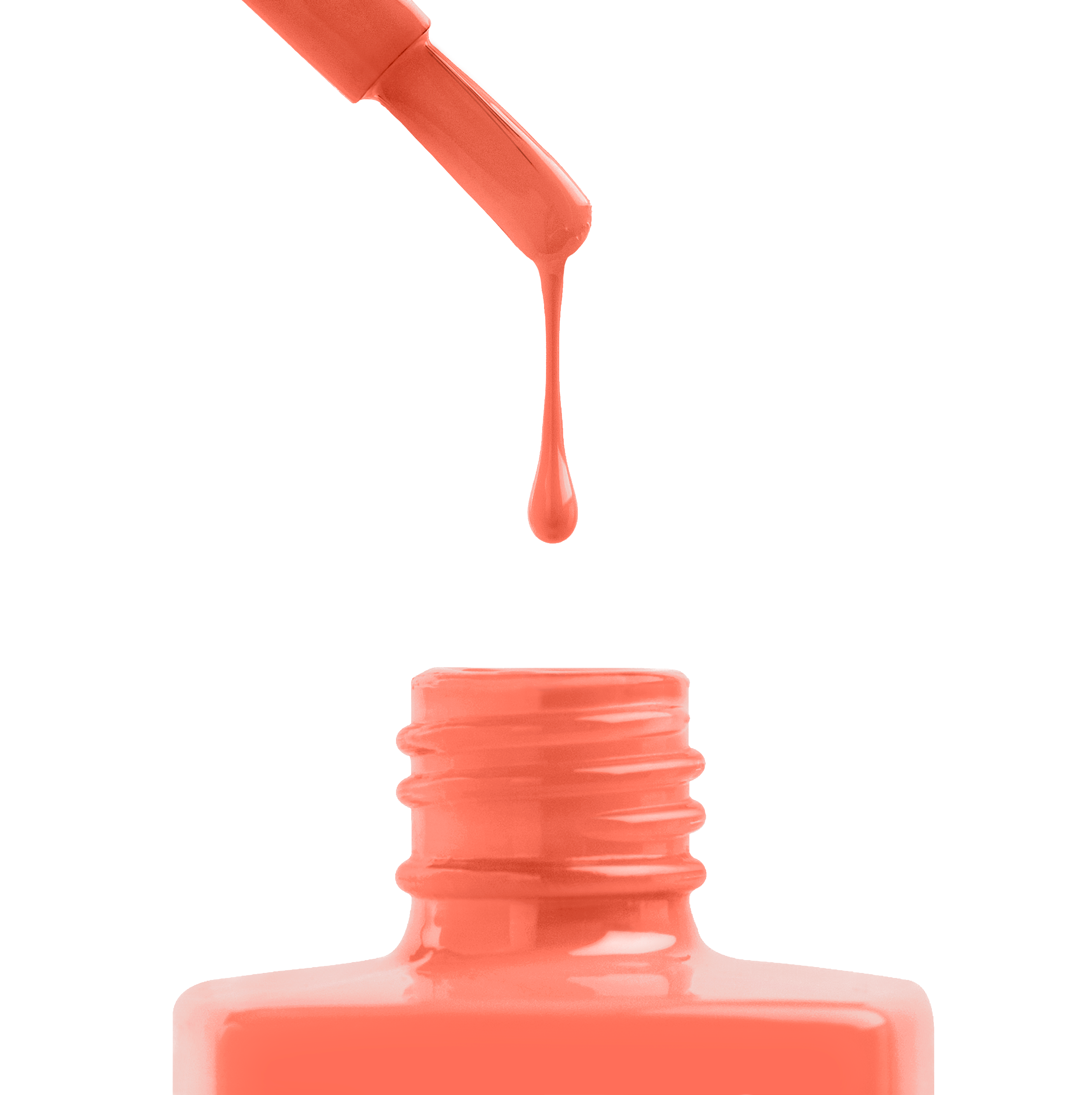 What Does The Fox Say - 209 (HEMA-Free & TPO-Free)