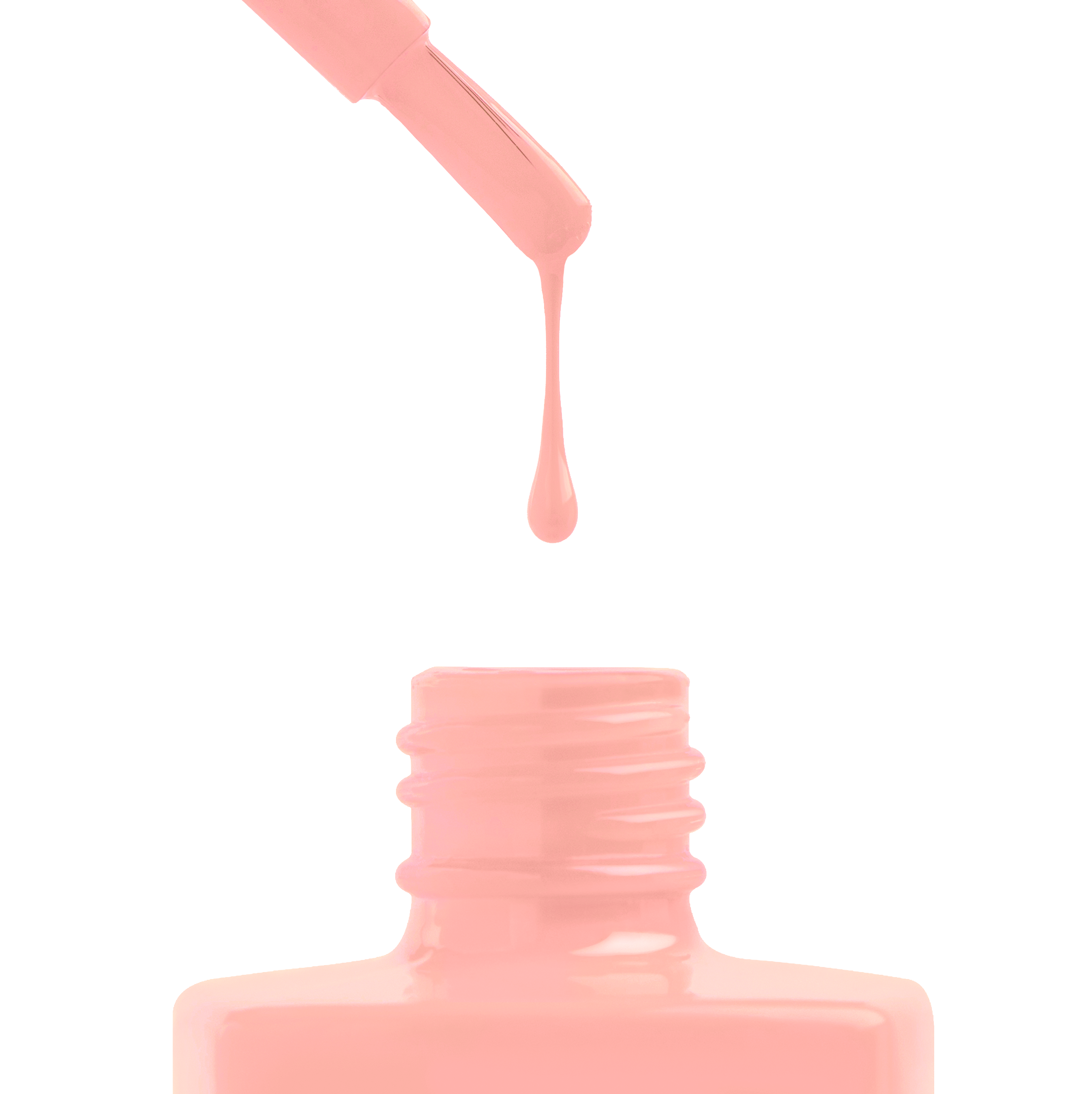 Shrimply The Best - 220 (HEMA-Free & TPO-Free)