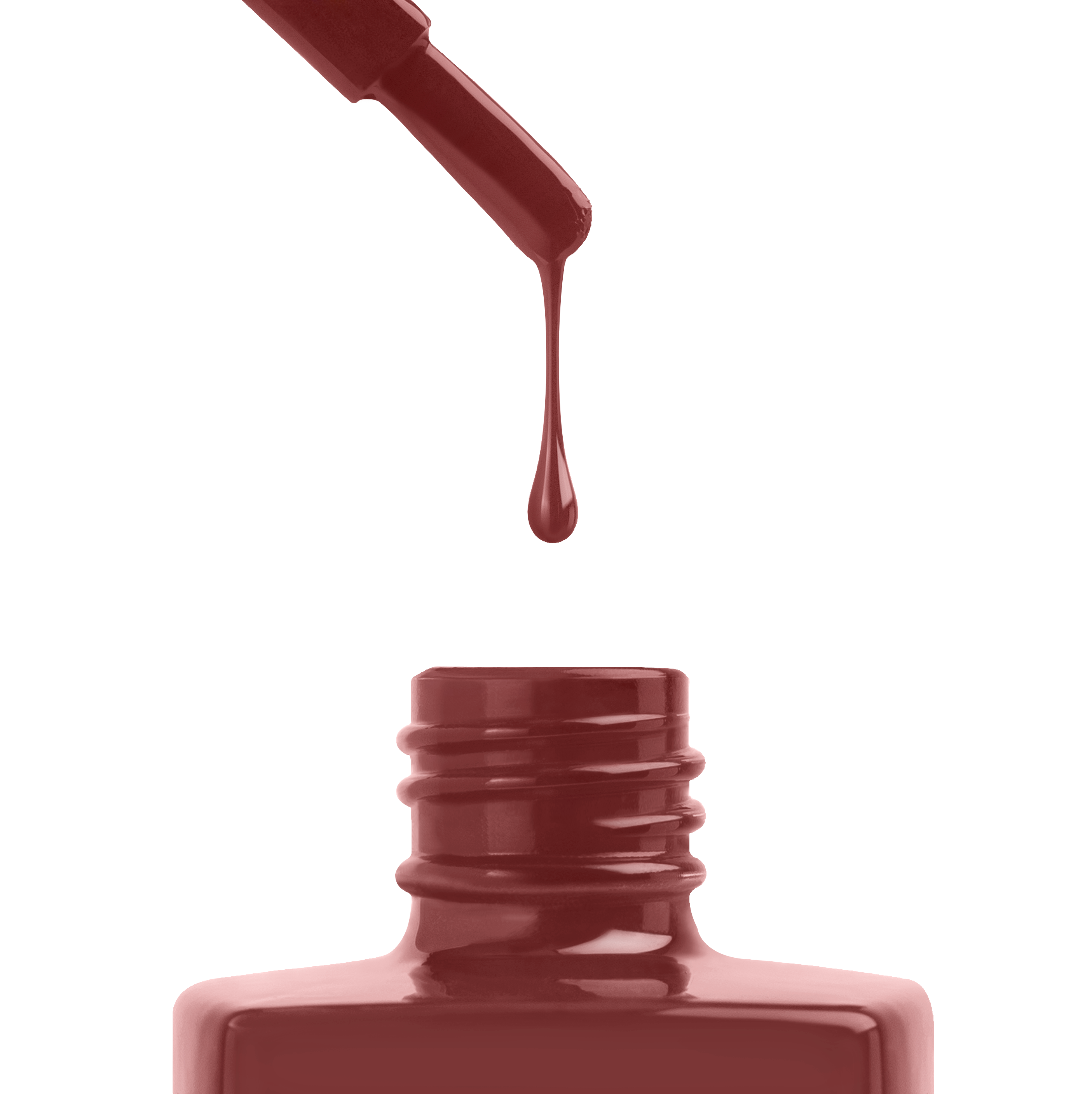 Royal Stamp - 290 (HEMA-Free & TPO-Free)