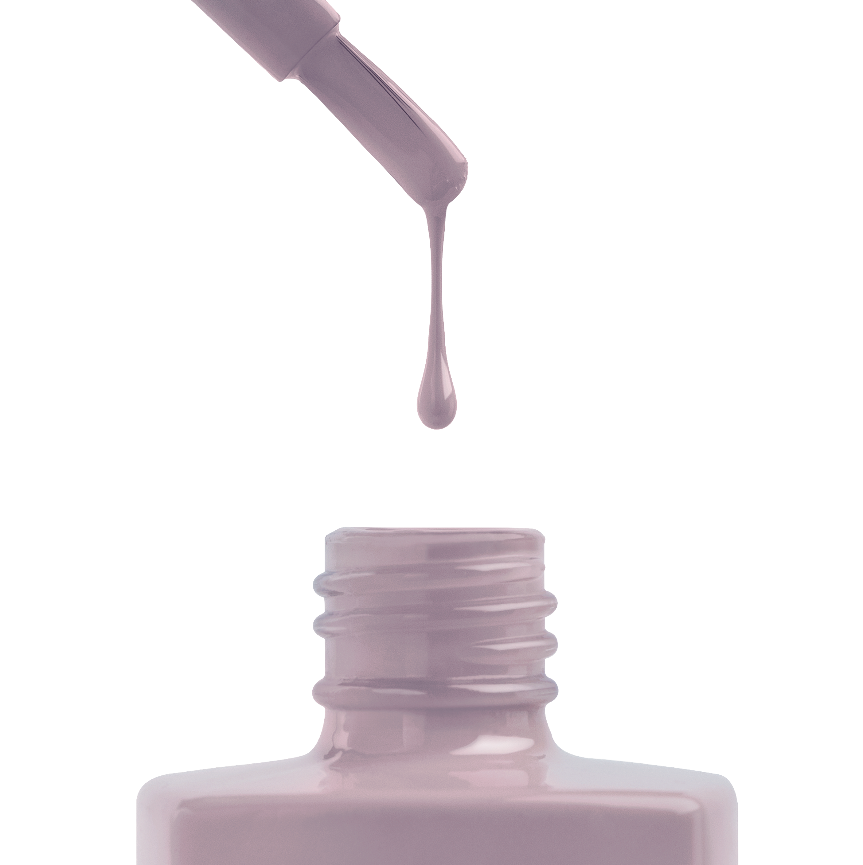 Pressed Rose - 316 (HEMA-Free & TPO-Free)