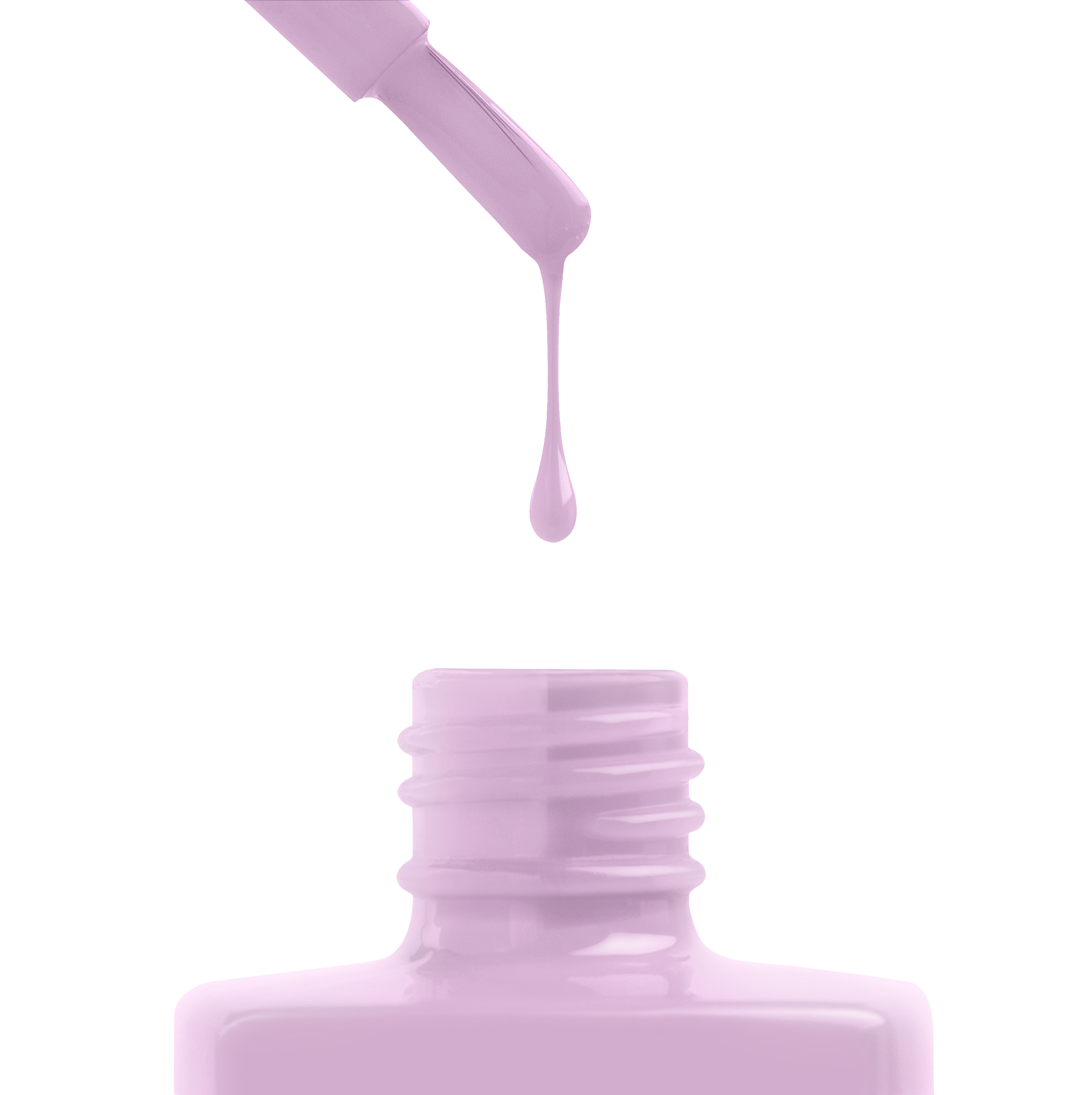 Aster Family - 341 (HEMA-Free & TPO-Free)
