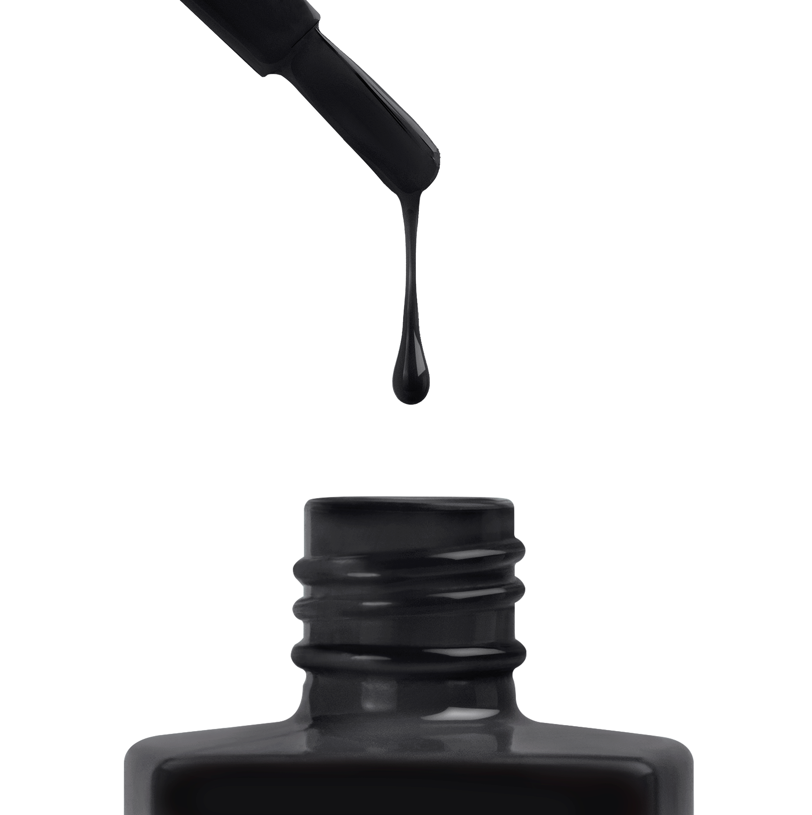 Birnam Wood - 344 (HEMA-Free & TPO-Free)