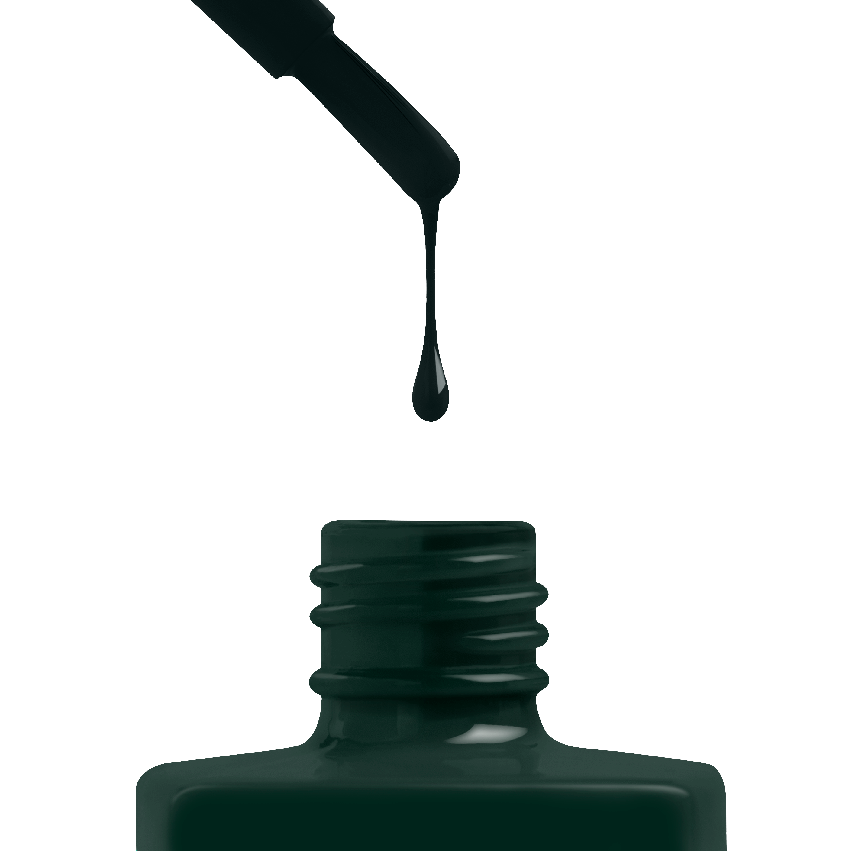 Pine-ing Fir You - 346 (HEMA-Free & TPO-Free)