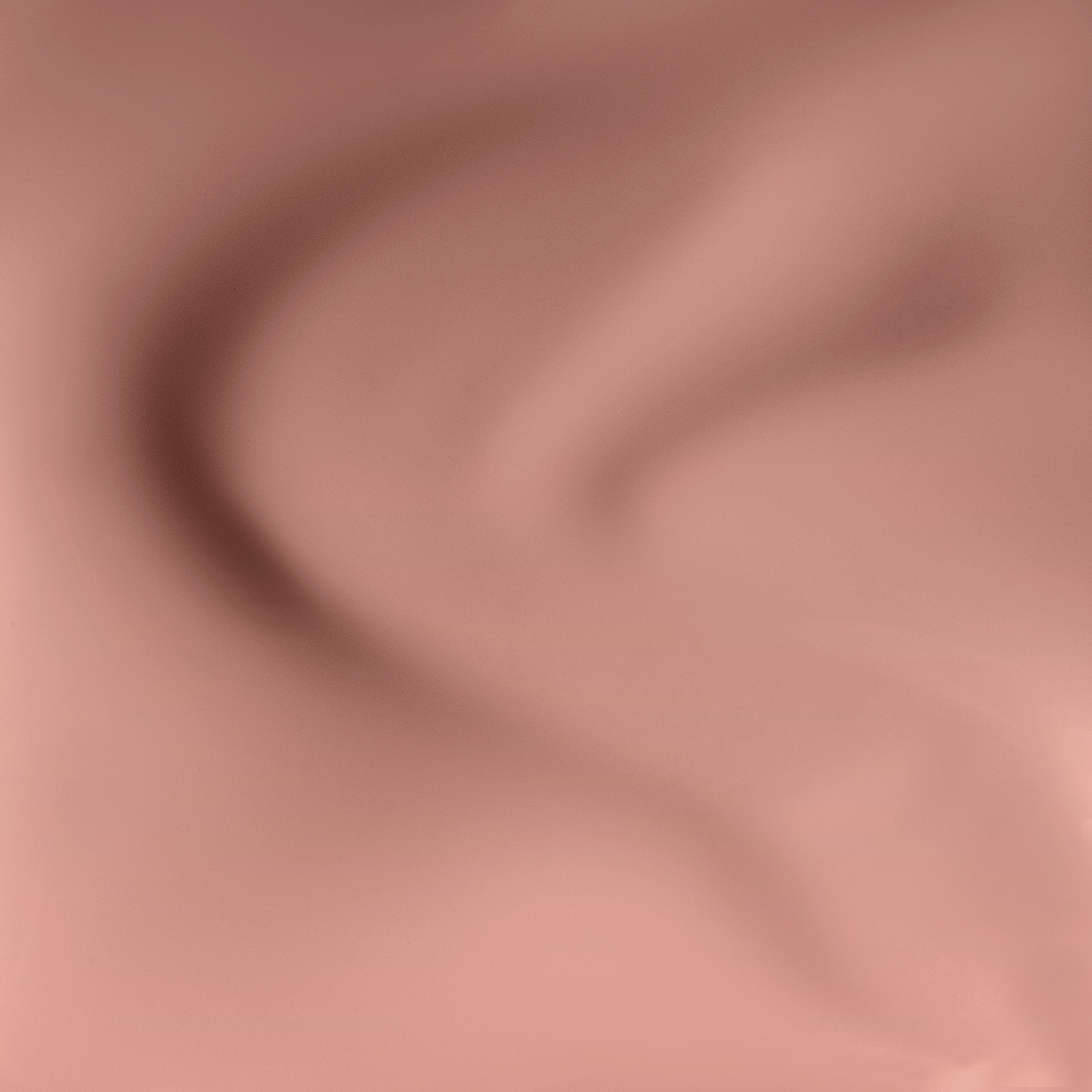 Vintage Carnation - N04 (HEMA-Free & TPO-Free)